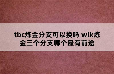 tbc炼金分支可以换吗 wlk炼金三个分支哪个最有前途